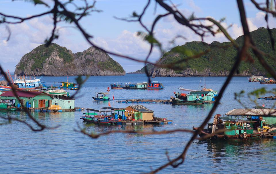 Chính sách hậu mãi & Tái bản ấn phẩm