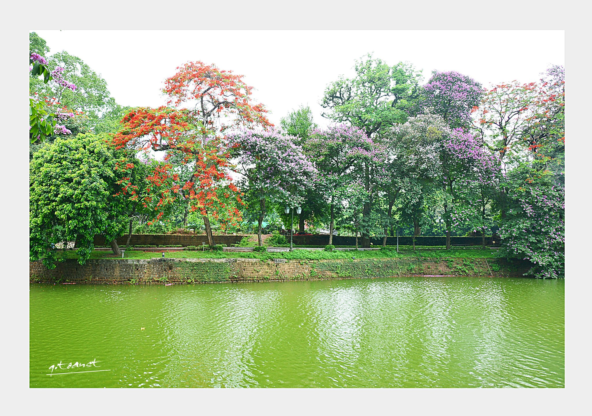 Lời chào ở lại - Tản văn của Phong Lan