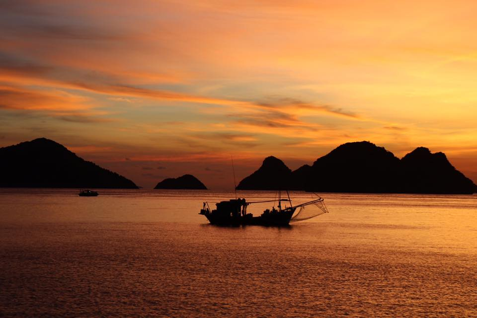 Chính sách vận chuyển
